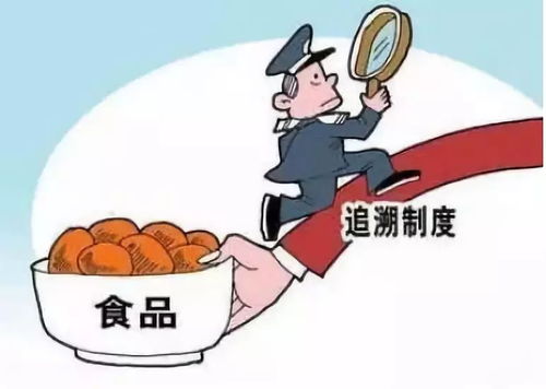 連江縣秋季開(kāi)學(xué)食品安全專項(xiàng)檢查 筑牢校園餐飲“防火墻”